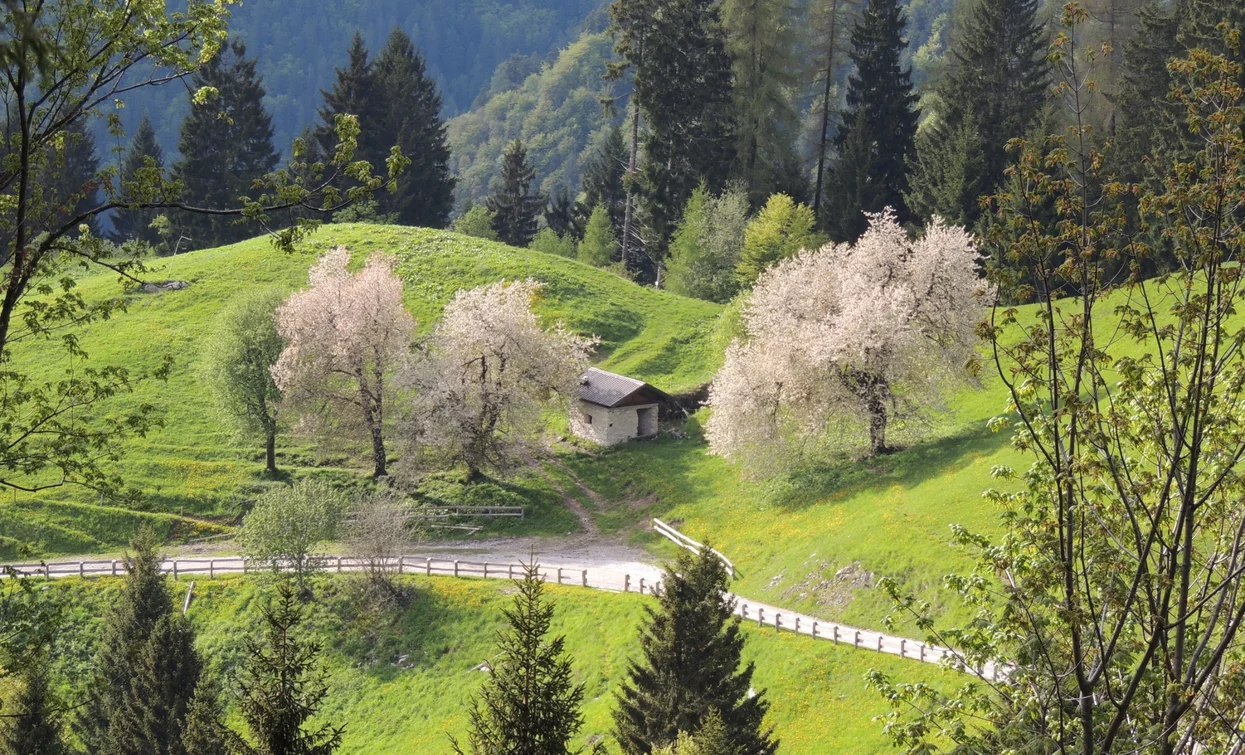 Road to Trat | © Archivio Garda Trentino, Garda Trentino 