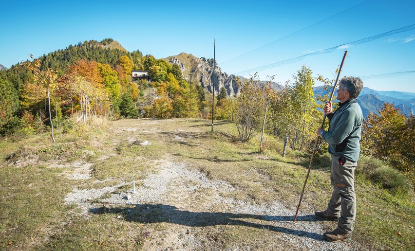 Variante Caset Rinalt - Trail