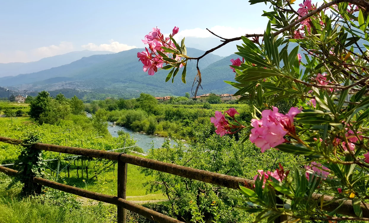 Riserva locale le gere | © Waterdrops , Garda Trentino 