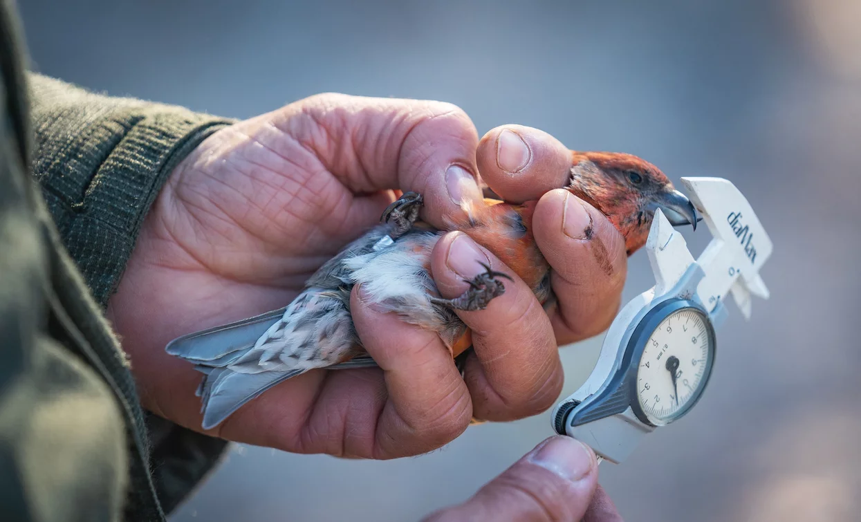 Inanallemento a Bocca Caset | © Tommaso Prugnola, Garda Trentino 