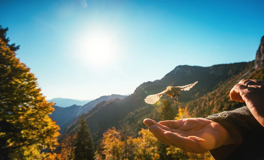 Flug über die Alpen | © Tommaso Prugnola, Garda Trentino