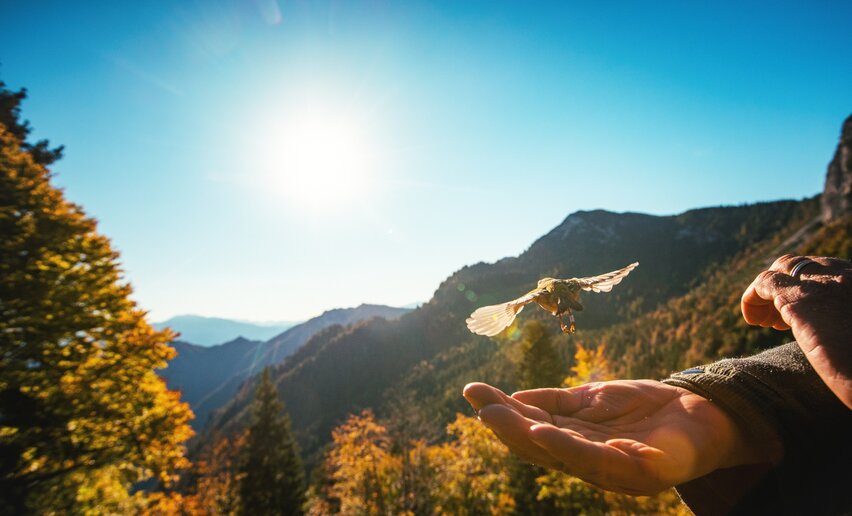 Flug über die Alpen | © Tommaso Prugnola, Garda Trentino