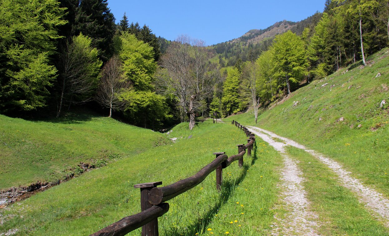 Stigolo forest road | © Archivio Garda Trentino (ph. Natalia Pellegrini), North Lake Garda Trentino 