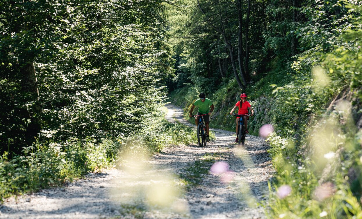 Strada forestale Coste di Bariolo | © Archivio Garda Trentino (ph. Alice Russolo), North Lake Garda Trentino 