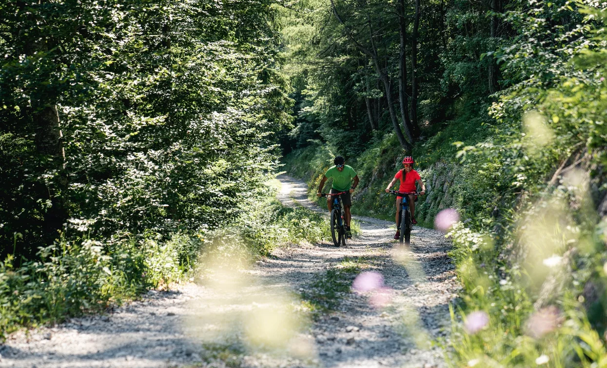 Forest road Coste di Bariolo | © Archivio Garda Trentino (ph. Alice Russolo), North Lake Garda Trentino 