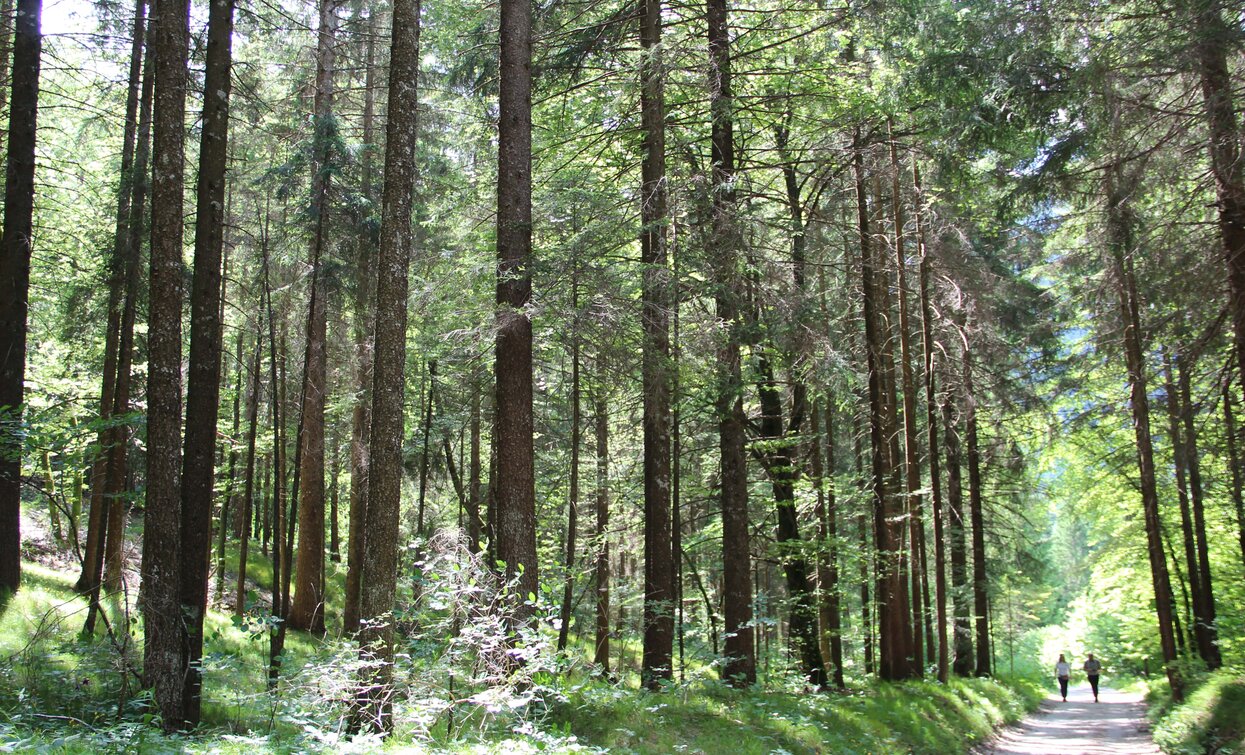 Val Sorda | © Staff Outdoor Garda Trentino AC, Garda Trentino 