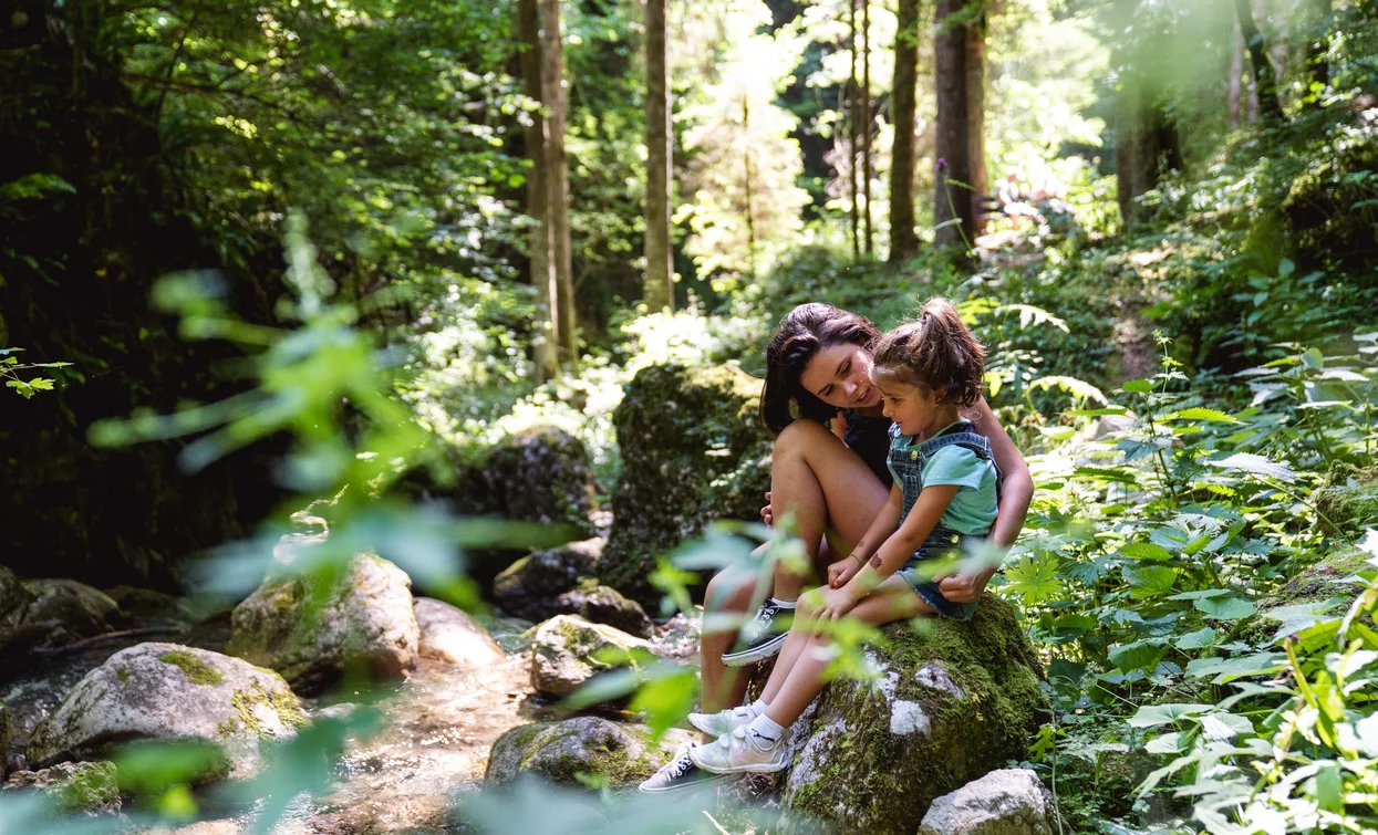 Passeggiata nel bosco | © Alice Russolo, Garda Trentino 