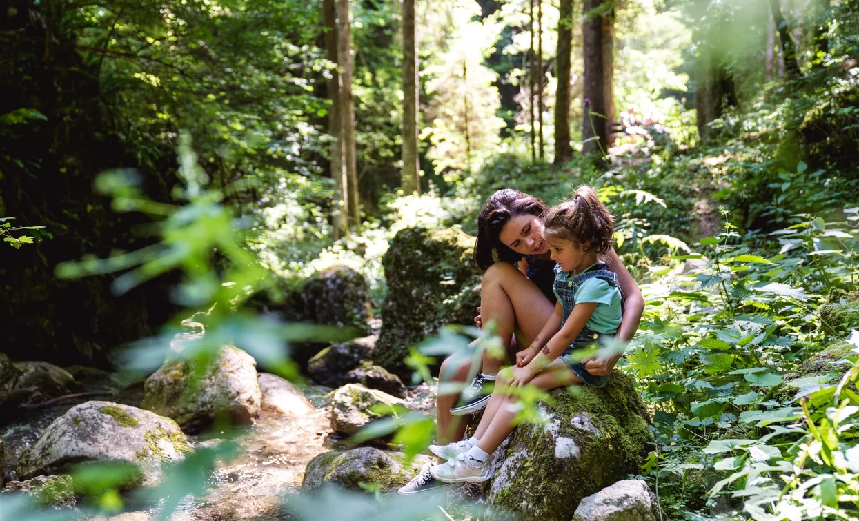 Walk in the forest | © Alice Russolo, Garda Trentino 