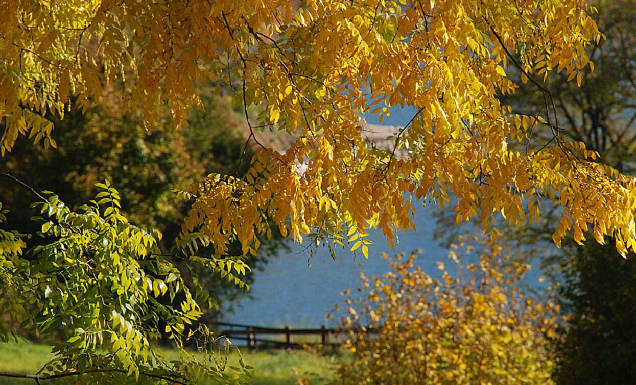 Autumn on the lake | © Voglino e Porporato, Garda Trentino