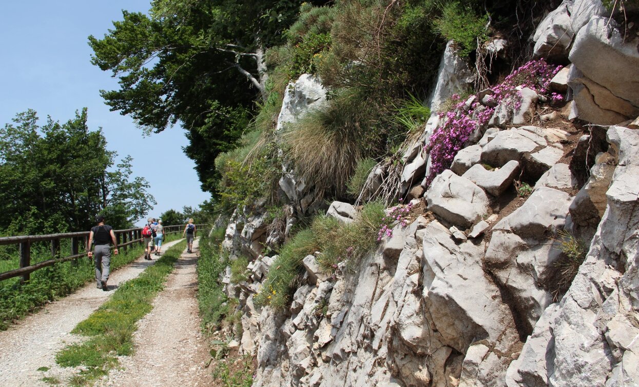 Forstweg nach Dromaè | © Staff Outdoor Garda Trentino AC, Garda Trentino