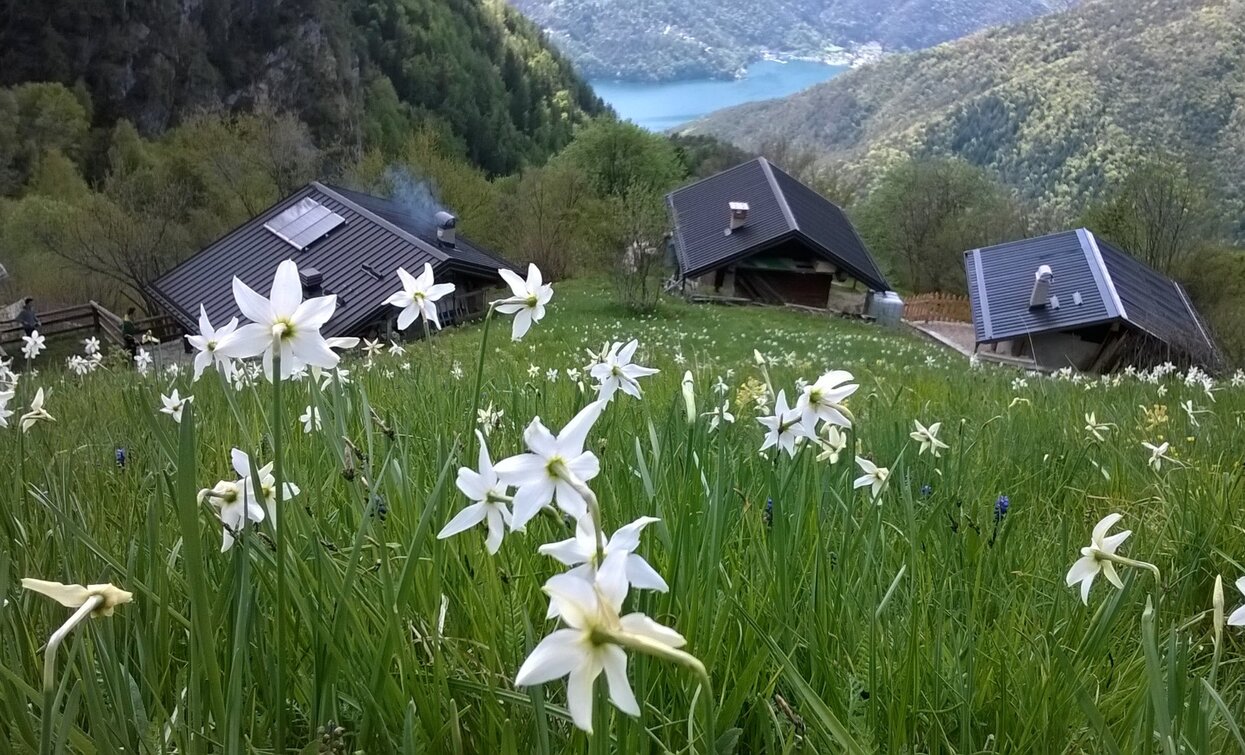 Der Casinei | © Franca Crosina, Garda Trentino