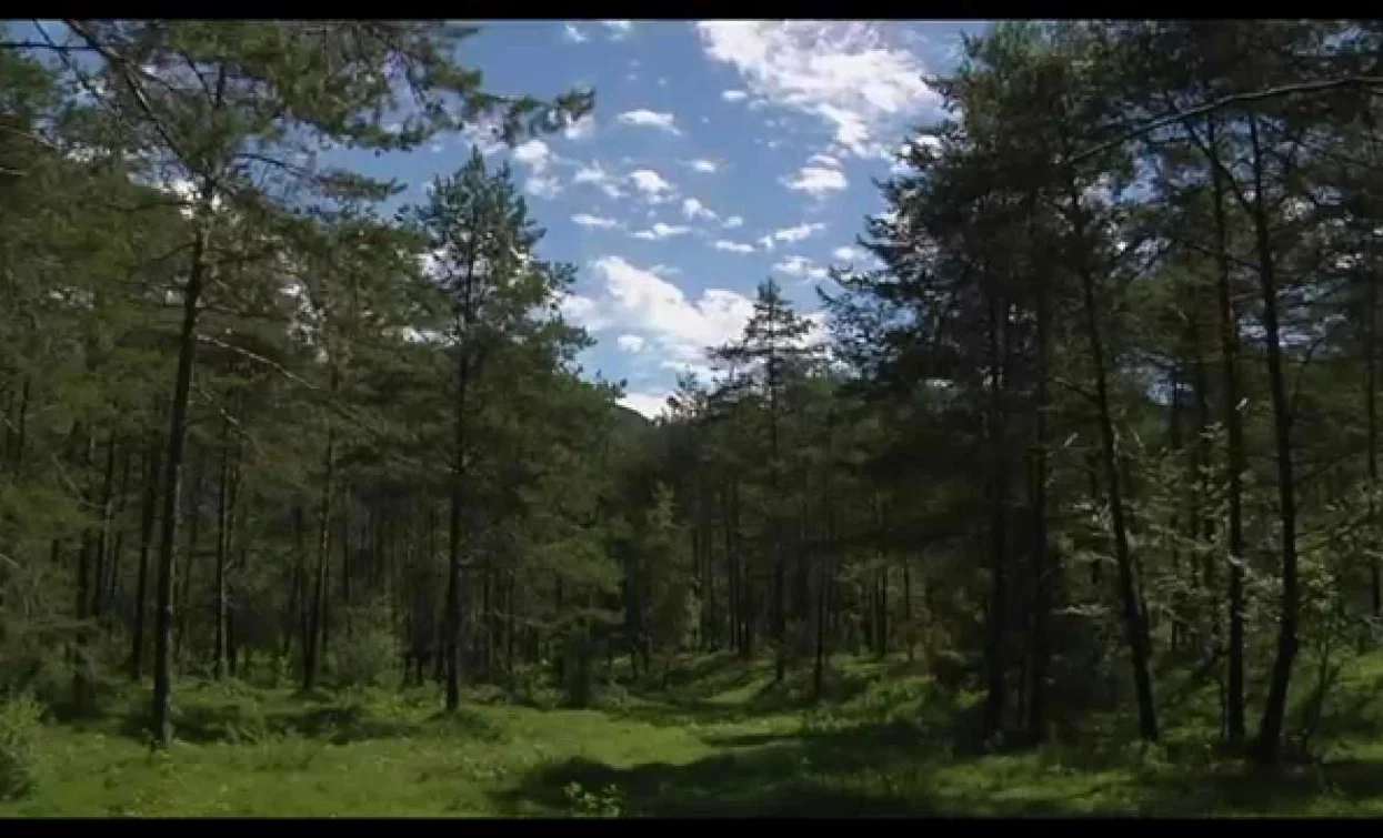 Teaser Ledro Land Art 2014 | © Jordi Penner