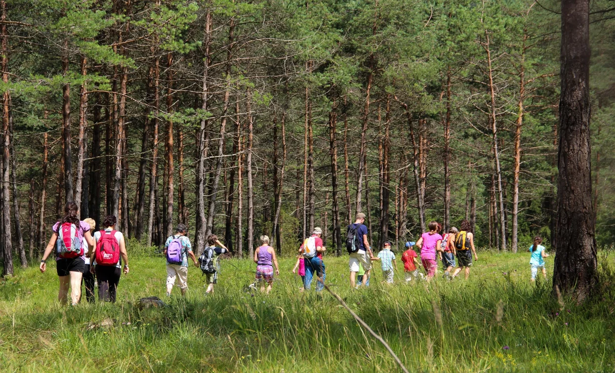 In the pine forest of Pur | © Natalia Pellegrini, Garda Trentino