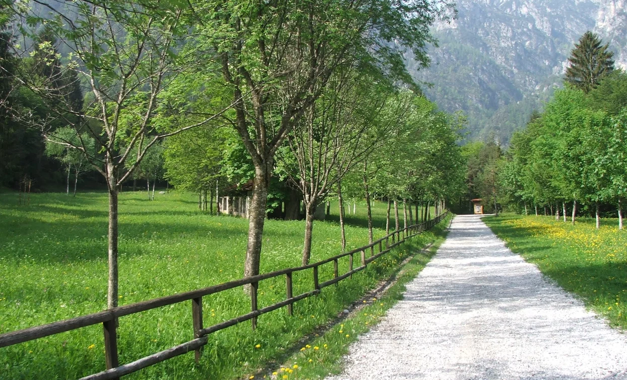 Towards Malga Cita | © Staff Outdoor Garda Trentino AC, Garda Trentino