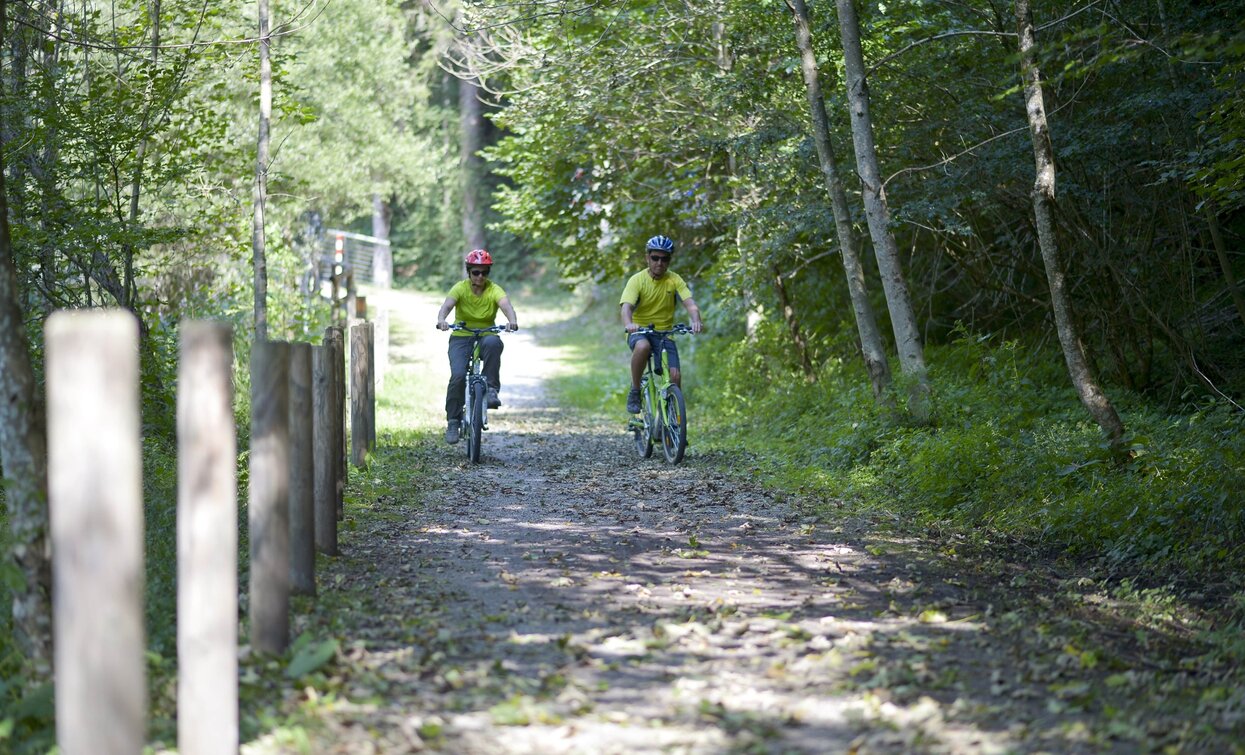 Cycle path of the Ledro Valley near Lake Ampola | © Archivio Garda Trentino (ph. Roberto Vuilleumier), Garda Trentino 