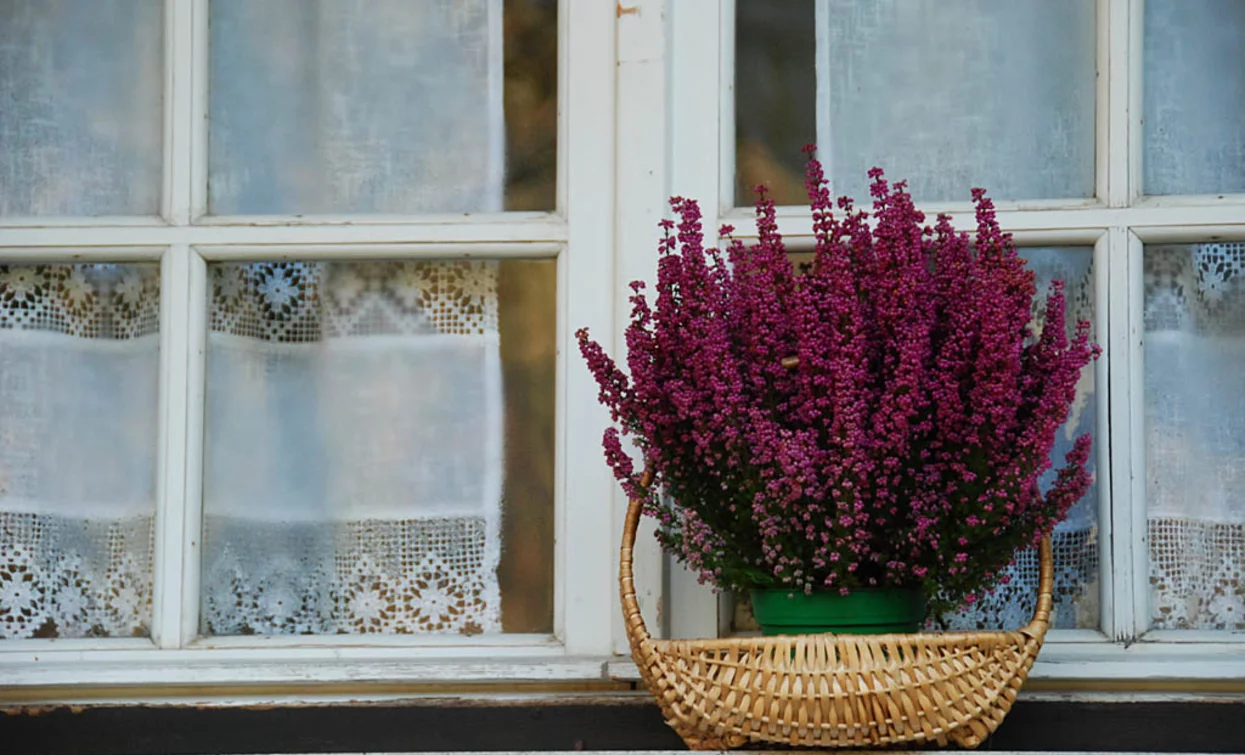 It's the details that make the difference | © Staff Outdoor Garda Trentino AC, Garda Trentino