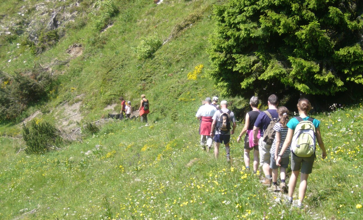 On the way between Caset and Bocca di Val Marza | © Staff Outdoor Garda Trentino AC, Garda Trentino