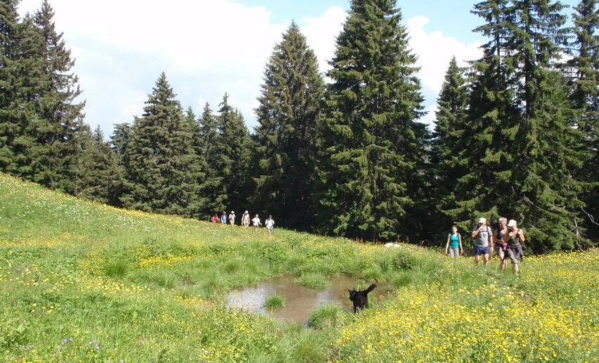 Rund um den Monte Tremalzo