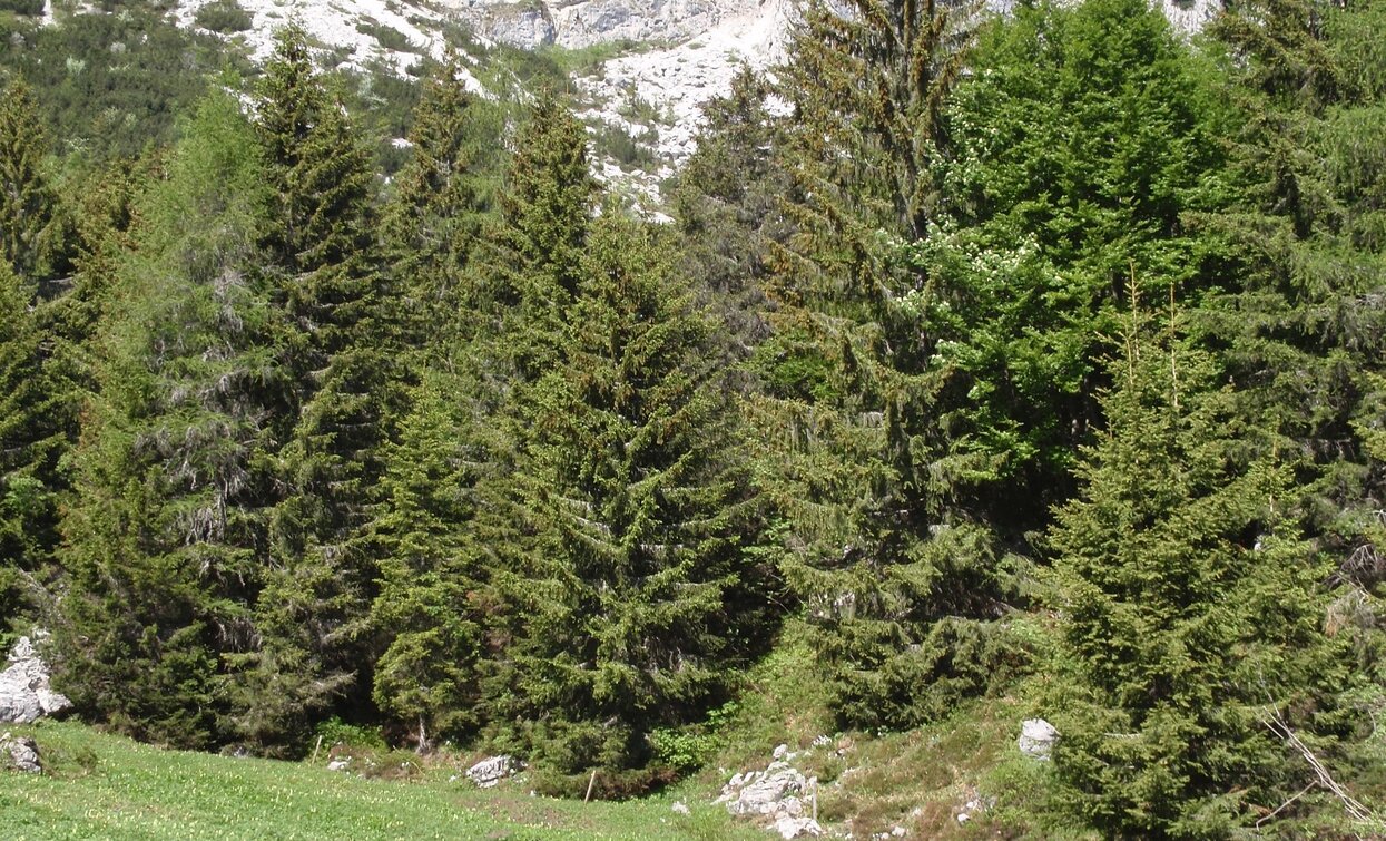 Sosta lungo il sentiero | © Staff Outdoor Garda Trentino AC, Garda Trentino 