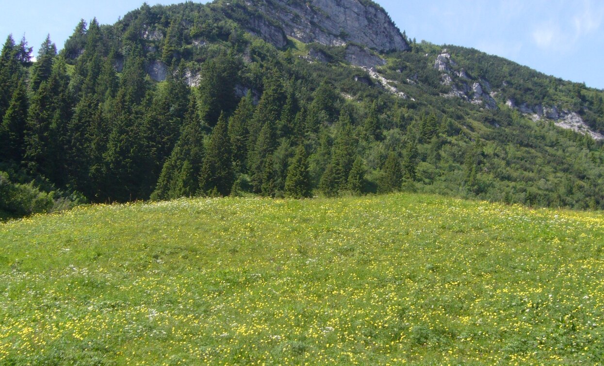 Flowering meadows | © Staff Outdoor Garda Trentino AC, Garda Trentino