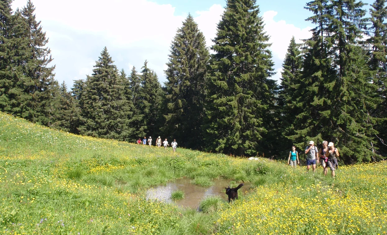 Alpine pasture | © Staff Outdoor Garda Trentino AC, Garda Trentino