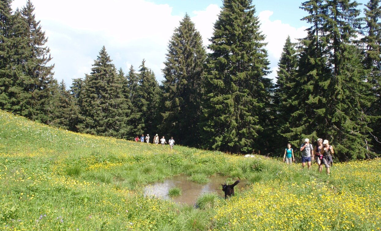 Alpine pasture | © Staff Outdoor Garda Trentino AC, Garda Trentino