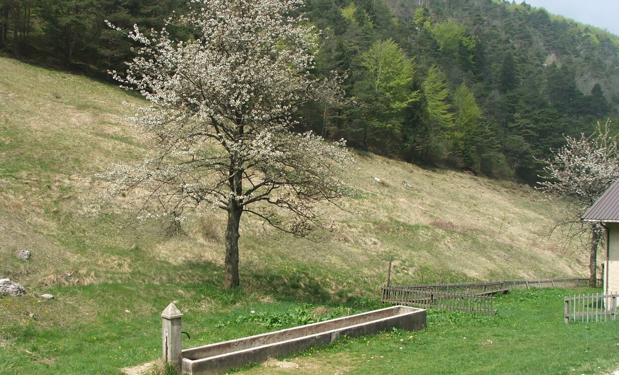 Fontana di Guil | © Staff Outdoor Garda Trentino AC, Garda Trentino 