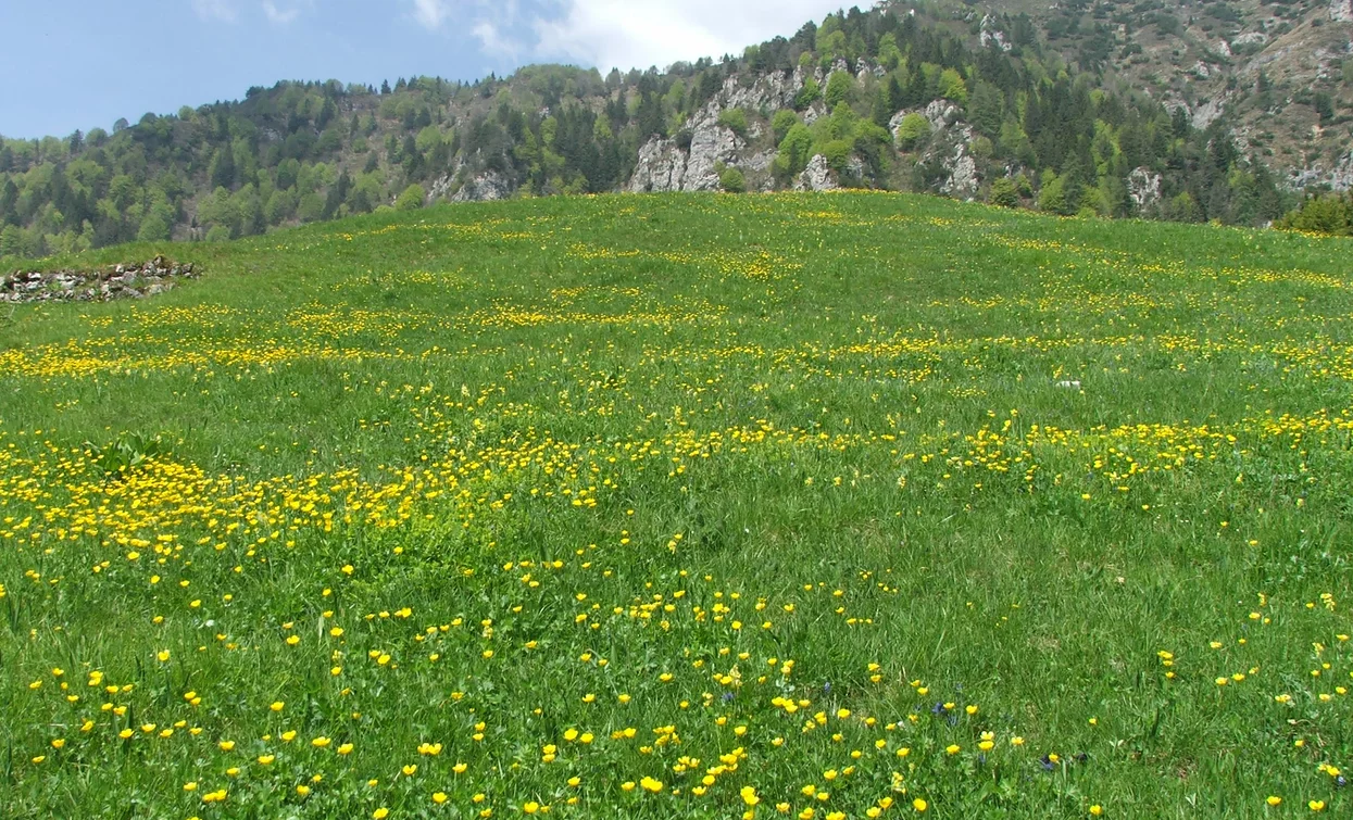 Prati di Malga Giù | © Staff Outdoor Garda Trentino AC, Garda Trentino 