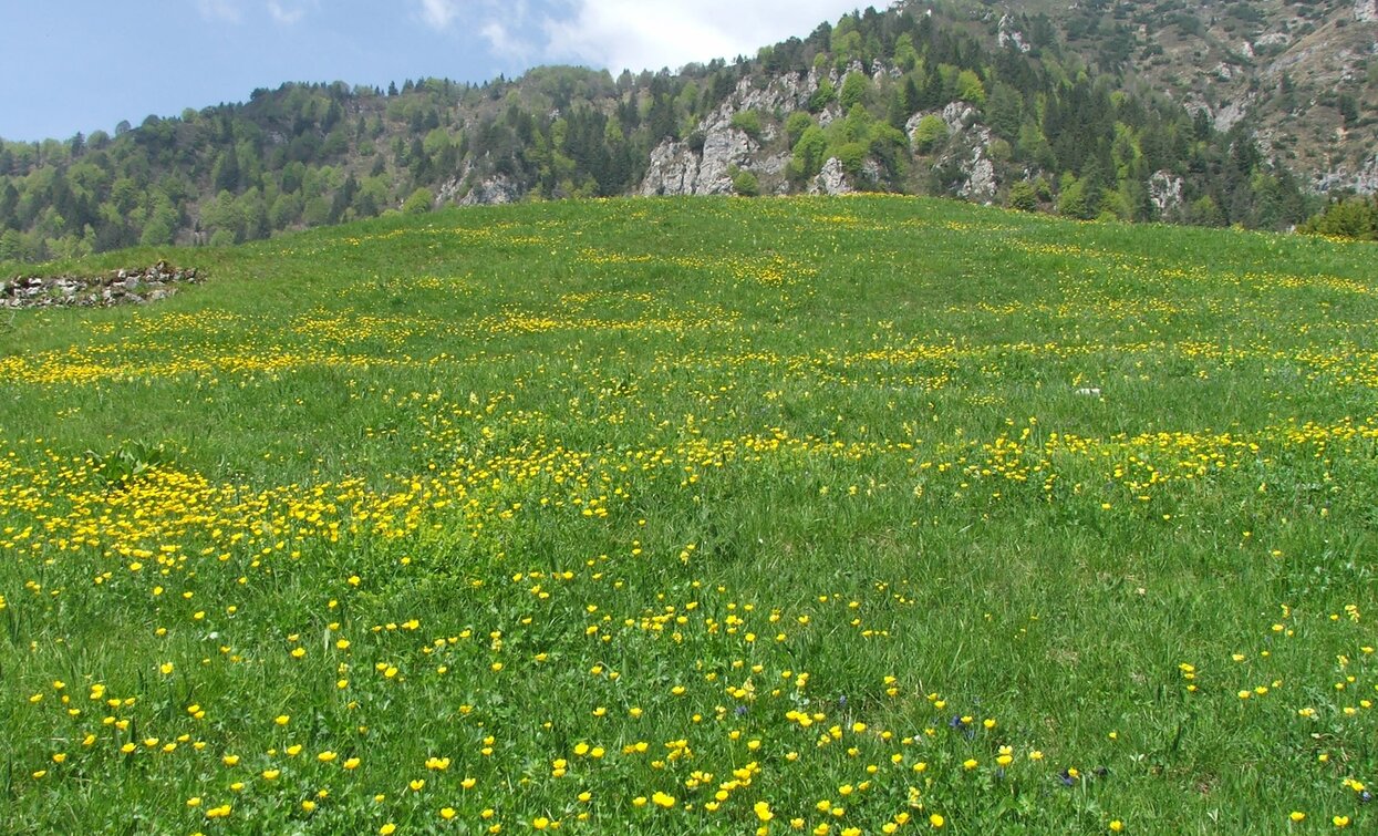 Meadows of Malga Giù | © Staff Outdoor Garda Trentino AC, Garda Trentino