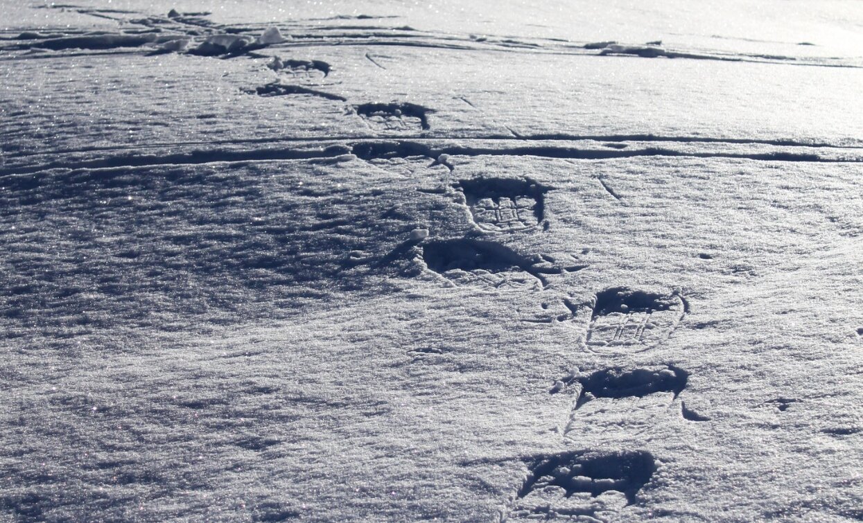 Spuren der Schneeschuhe | © Stefania Oradini, Garda Trentino