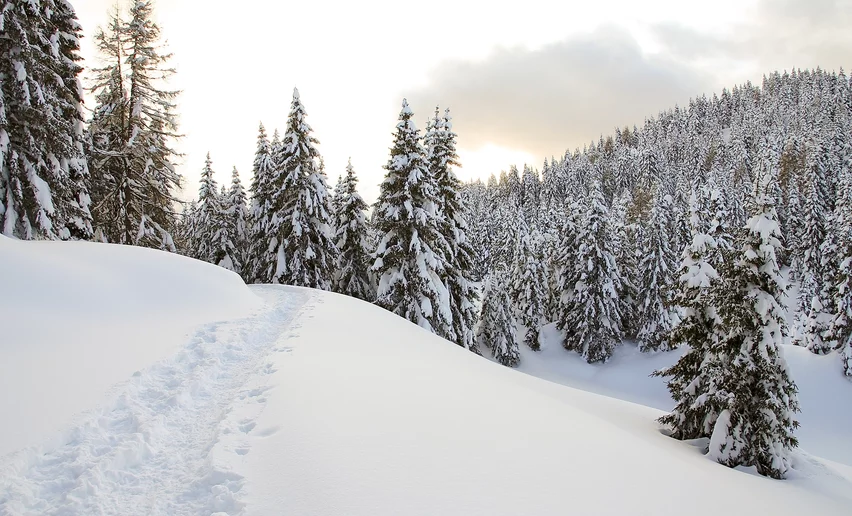Spuren im Schnee | © Franco Daldoss, Garda Trentino