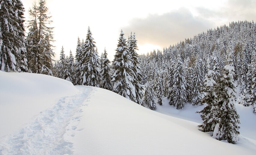 Spuren im Schnee | © Franco Daldoss, Garda Trentino