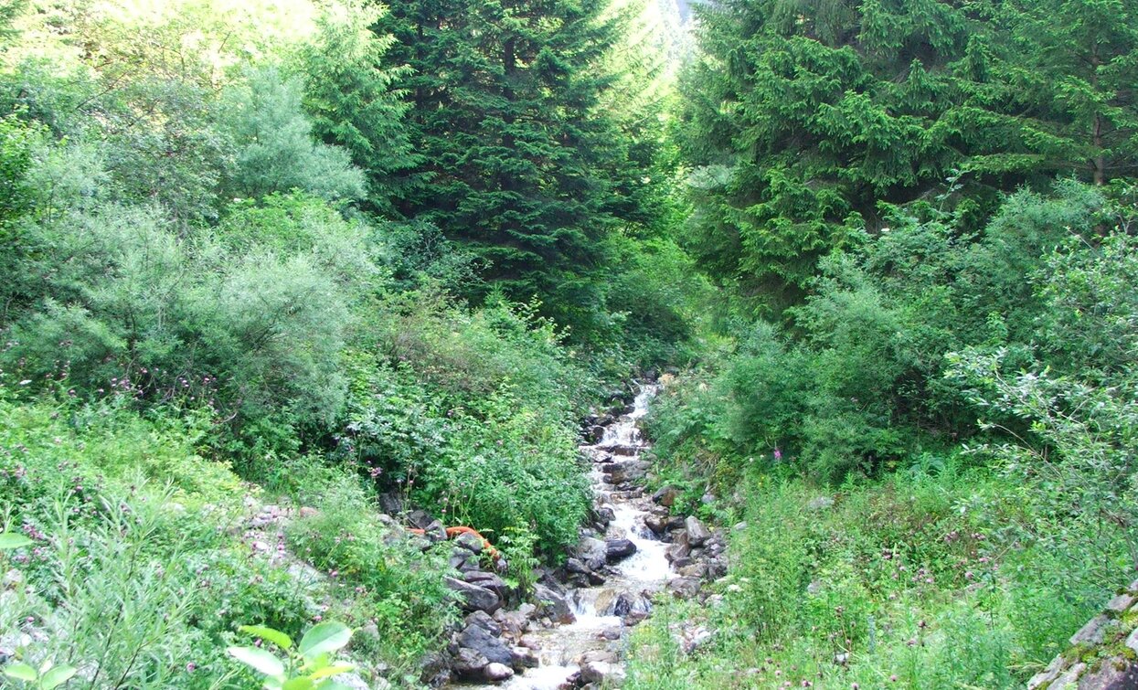 Assat Stream | © Staff Outdoor Garda Trentino AC, Garda Trentino