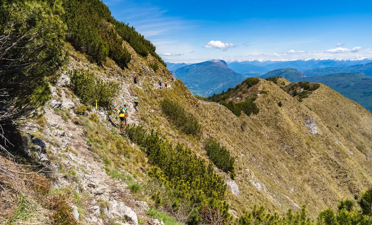 © Renata Fedrizzi, Garda Trentino