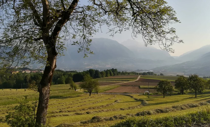 I campi tra Fiavé e Favrio | © Archivio Garda Trentino, Garda Trentino 
