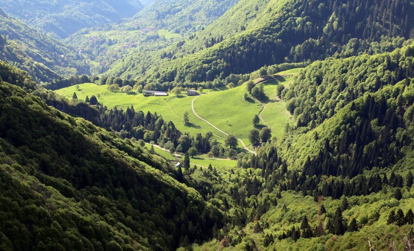 Vista sulla Malga Grassi | © Alessandro de Guelmi, Garda Trentino 