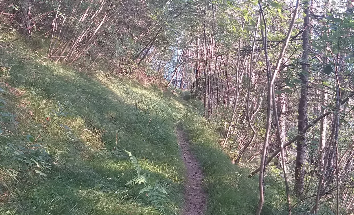 Path between Mezzolago and Molina | © Natalia Pellegrini, North Lake Garda Trentino 
