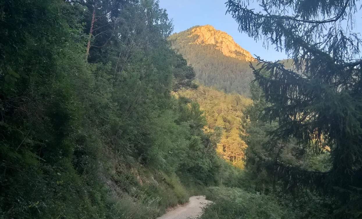 Forestale of Dromaè | © Staff Outdoor Garda Trentino AC, Garda Trentino 