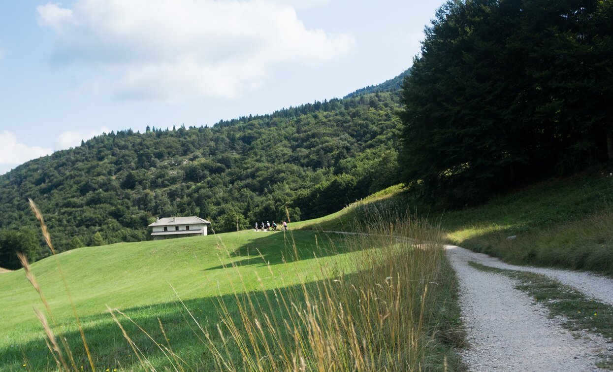 Die Wiesen in der Gegend der Alm (Malga) Vigo | © M. Giacomello, Garda Trentino 