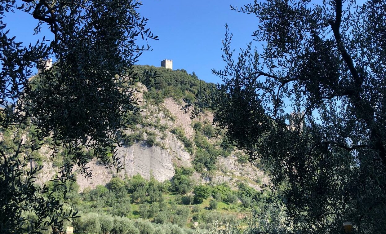 Coste di Baone | © Stefania Oradini, Garda Trentino 