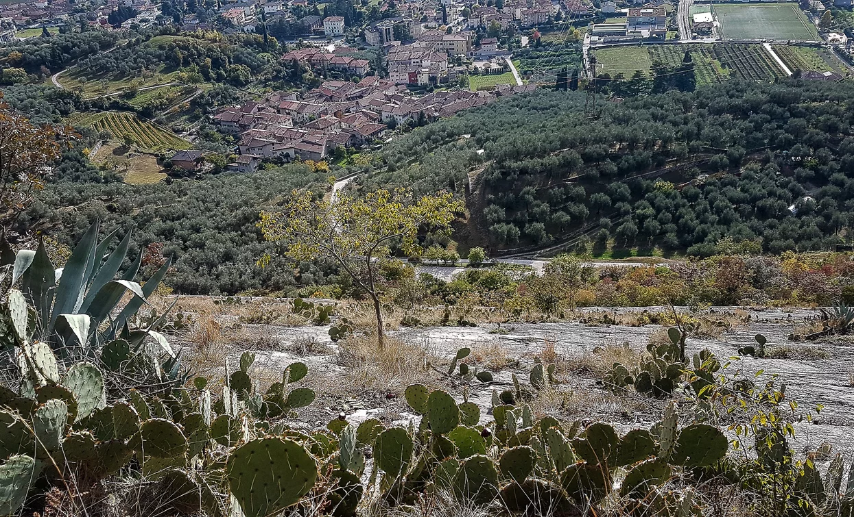 Coste di Baone - Arco | © A. Seneci ©APT Garda Trentino , Garda Trentino