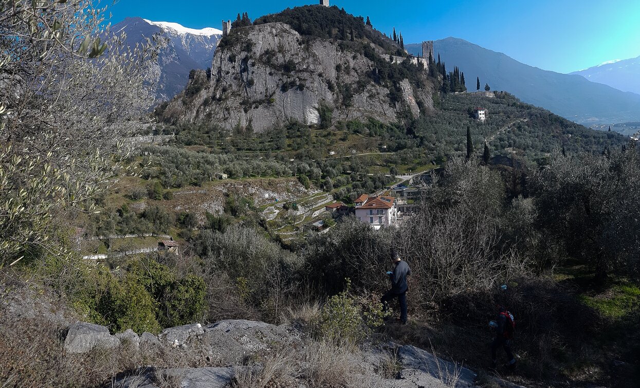 Coste di Baone - Arco | © Archivio APT Garda Trentino (ph. A. Seneci), Garda Trentino