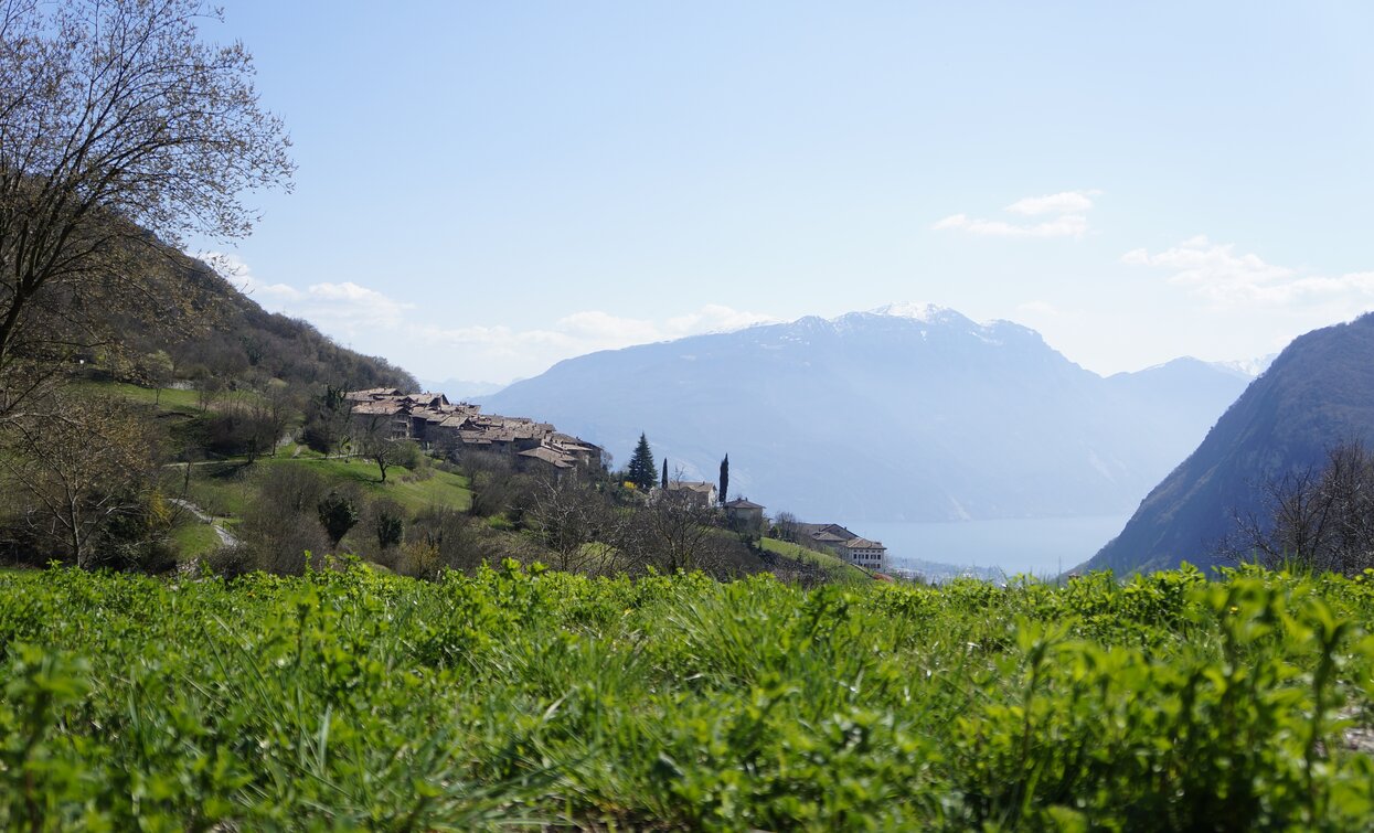 Blick auf dem Gardasee und das Dorf Canale di Tenno | © M. Giacomello, Garda Trentino 