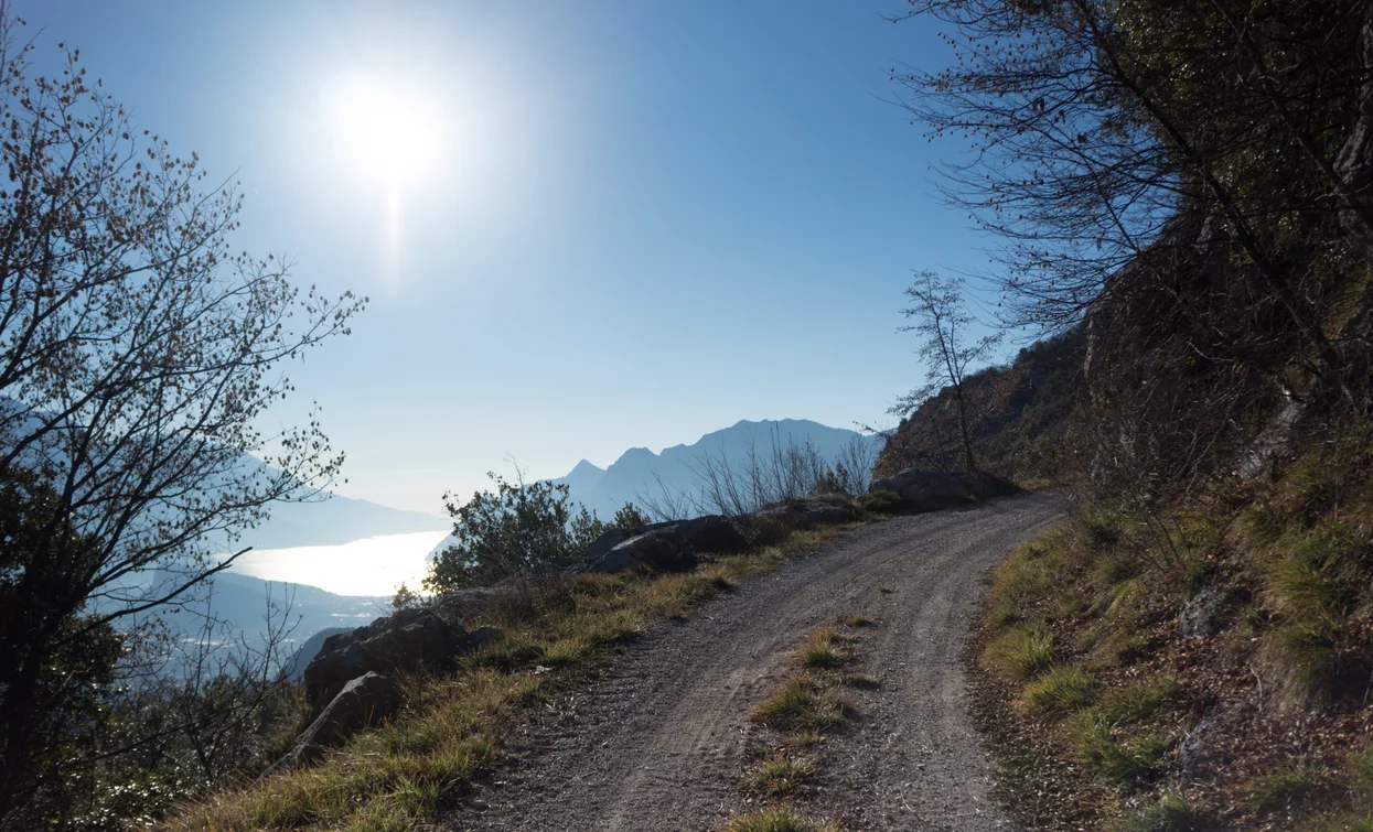 Strada forestale per Bocca di Tovo | © Archivio Garda Trentino (ph. Marco Giacomello), Garda Trentino 
