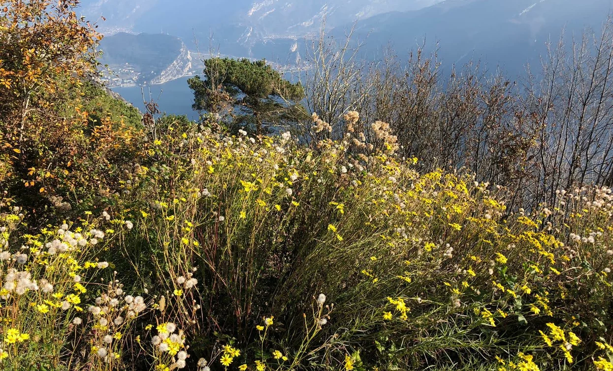View over Lake Garda | © Garda Trentino Trail , Garda Trentino