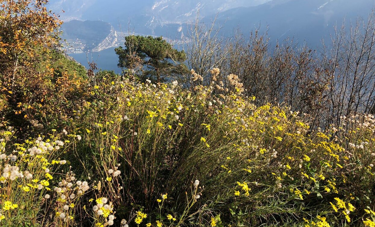 Blick auf den Gardasee | © Garda Trentino Trail , Garda Trentino