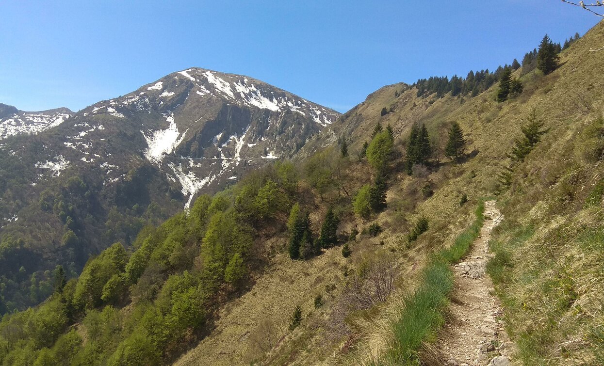 Weg richtung Saval | © Garda Trentino Trail , Garda Trentino