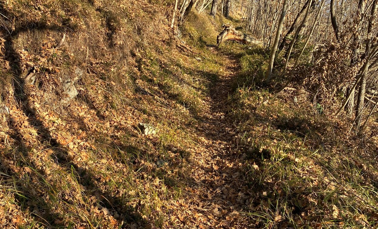 © Elisabetta Luraschi, Garda Trentino 