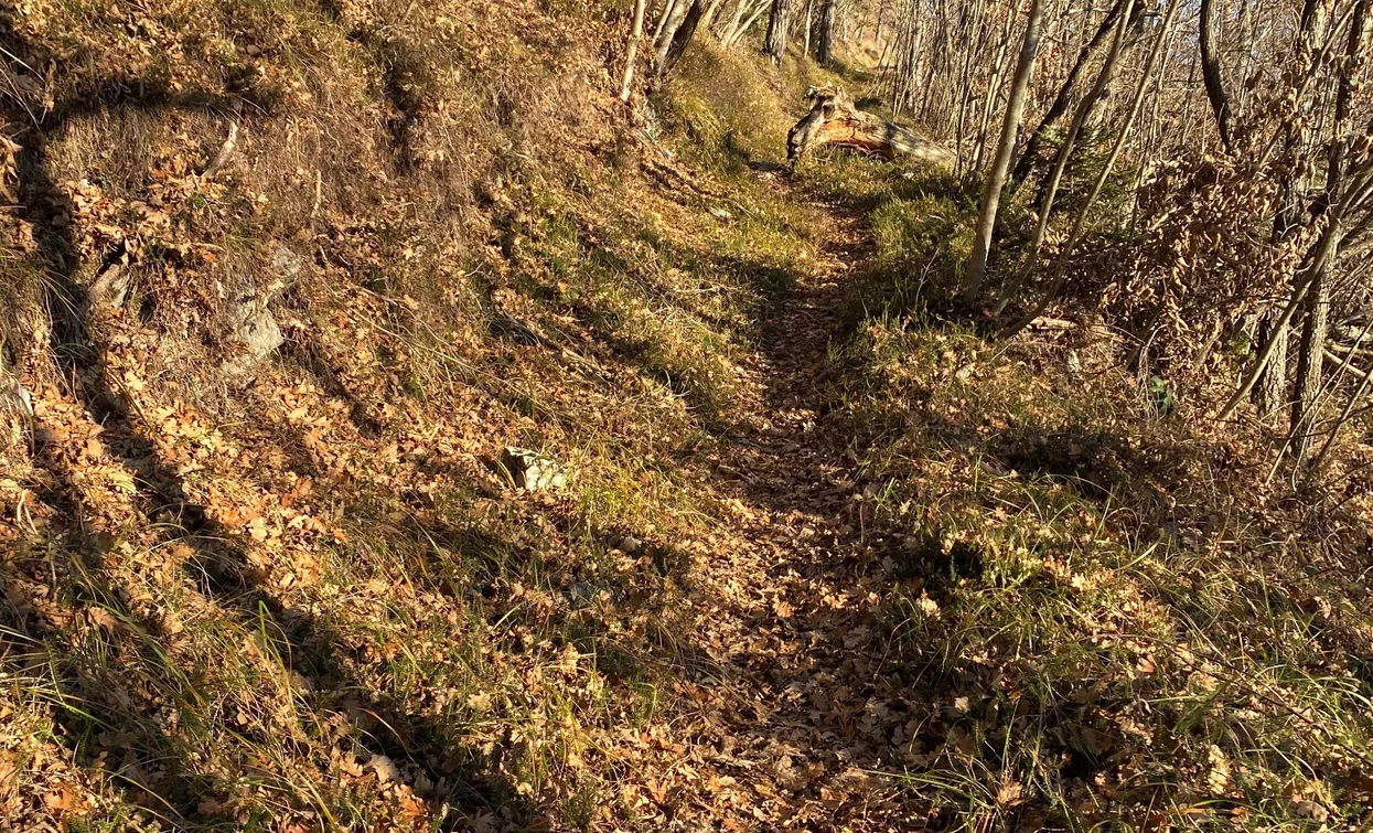 Weg zum Aussichtspunkt | © Elisabetta Luraschi, Garda Trentino 