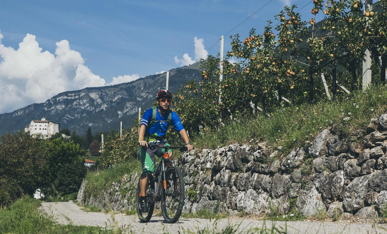 Through the apple orchards surrounding Stenico | © Archivio Garda Trentino, Garda Trentino 